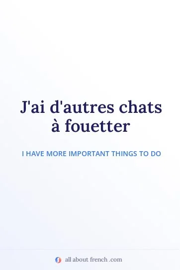 aesthetic french quote autres chats a fouetter
