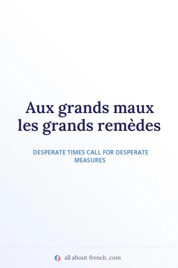 aesthetic french quote aux grands maux les grands remedes