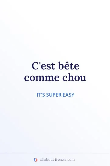 aesthetic french quote bete comme chou