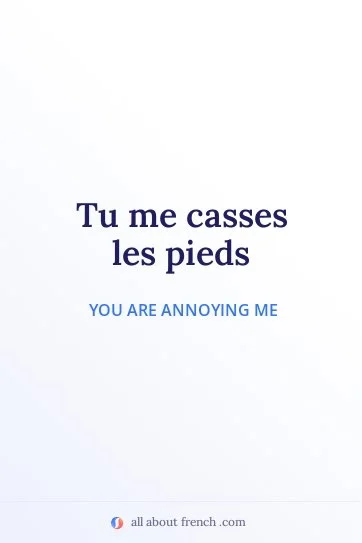 aesthetic french quote casser les pieds
