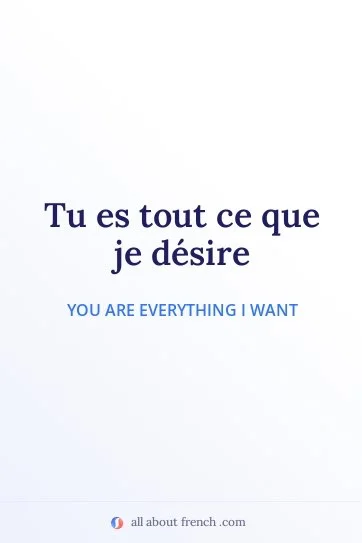 aesthetic french quote ce que je desire