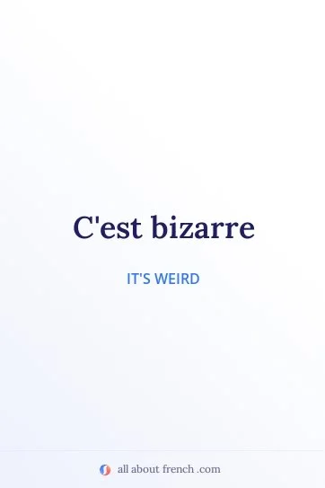 aesthetic french quote cest bizarre