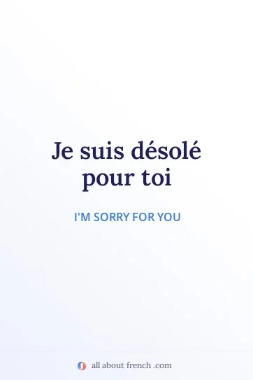 aesthetic french quote desole pour toi