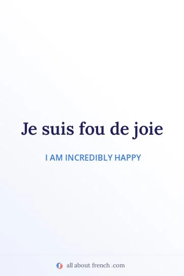 aesthetic french quote fou de joie