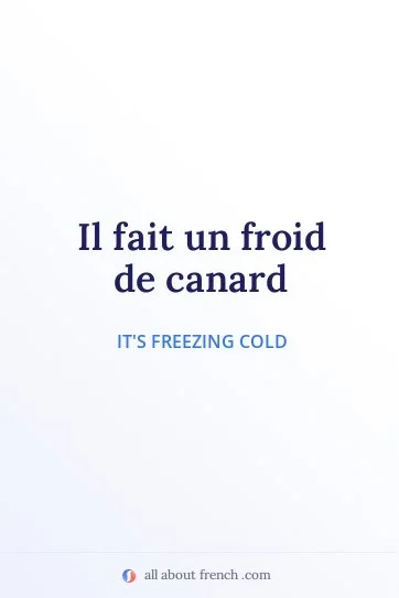 aesthetic french quote froid de canard