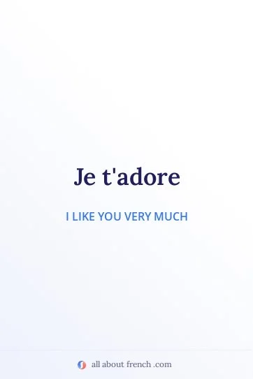 aesthetic french quote je tadore