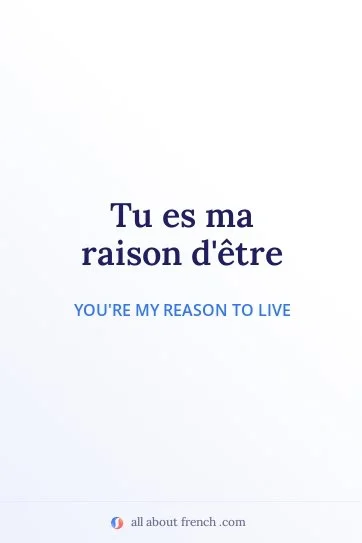 aesthetic french quote ma raison detre