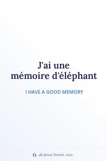 aesthetic french quote memoire delephant