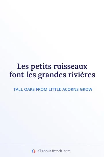 aesthetic french quote petits ruisseaux font grandes rivieres