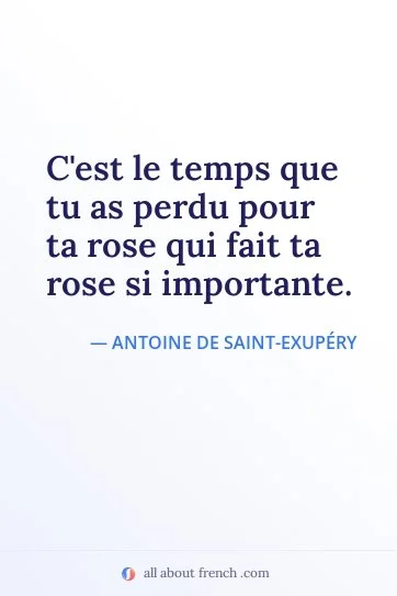 aesthetic french quote temps perdu pour ta rose