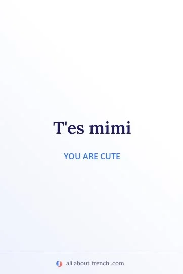 aesthetic french quote tes mimi